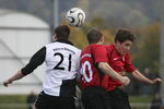 2.11.2008: FC 1907 Bensheim - Viktoria Griesheim 2:4