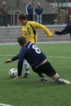 16.11.2008: Viktoria Griesheim - SV Somborn 1:1