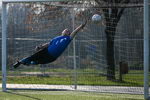 30.11.2008: Viktoria Griesheim 1b - FTG Pfungstadt 1:5
