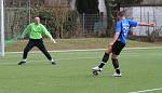 28.2.2010: Viktoria Griesheim - 1. FC Langen